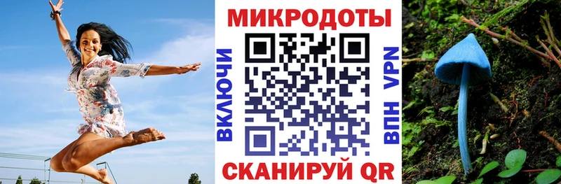 Псилоцибиновые грибы Psilocybine cubensis  магазин продажи наркотиков  Нижний Ломов 
